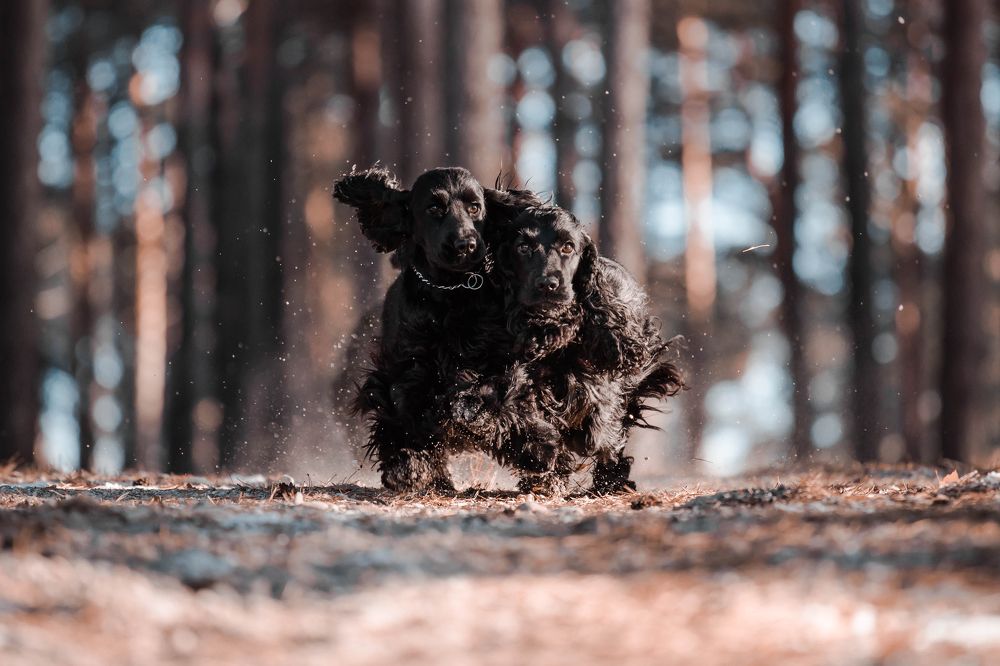 Photograph by Наталья Степанова