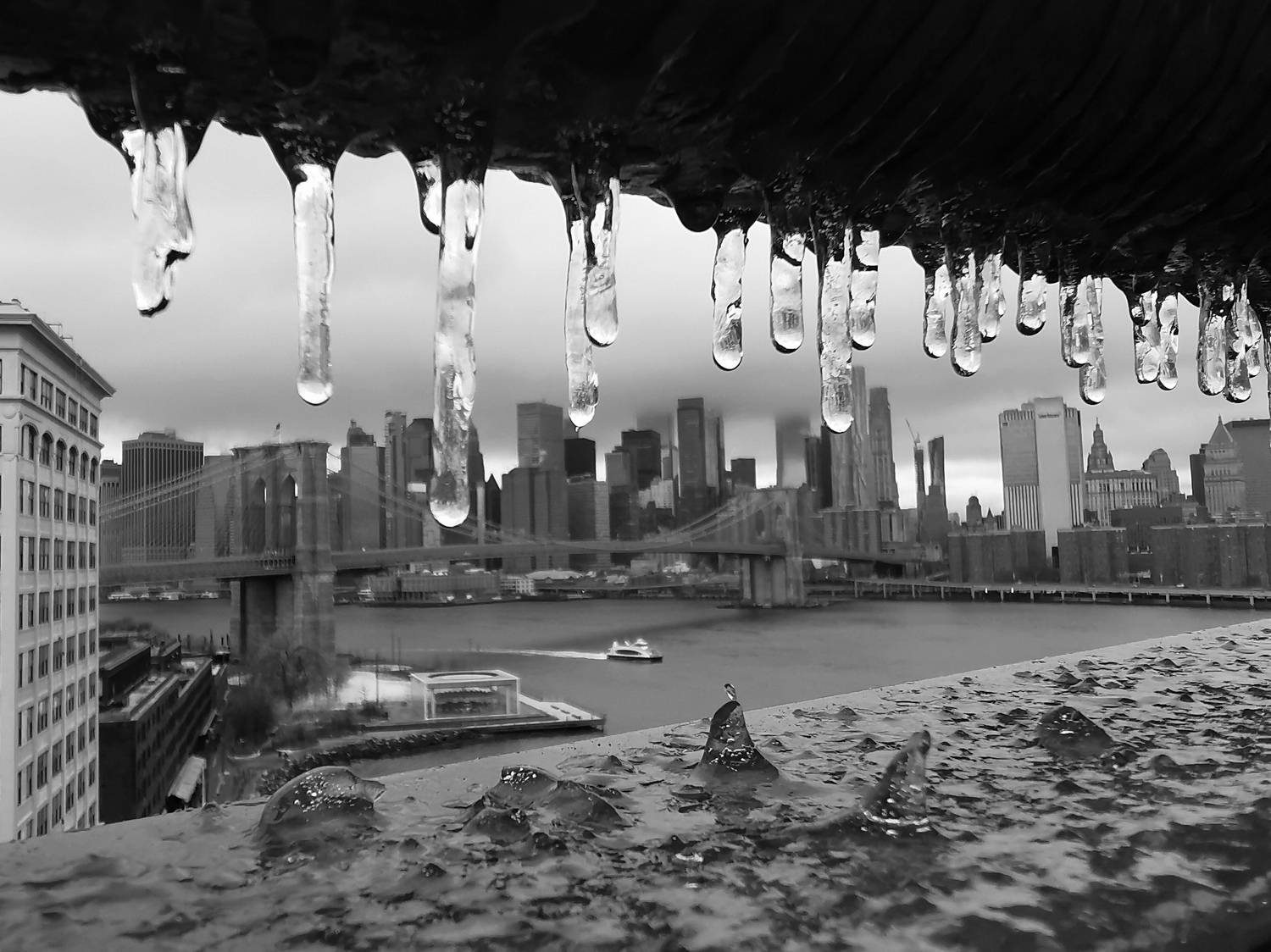 Photo #7642108