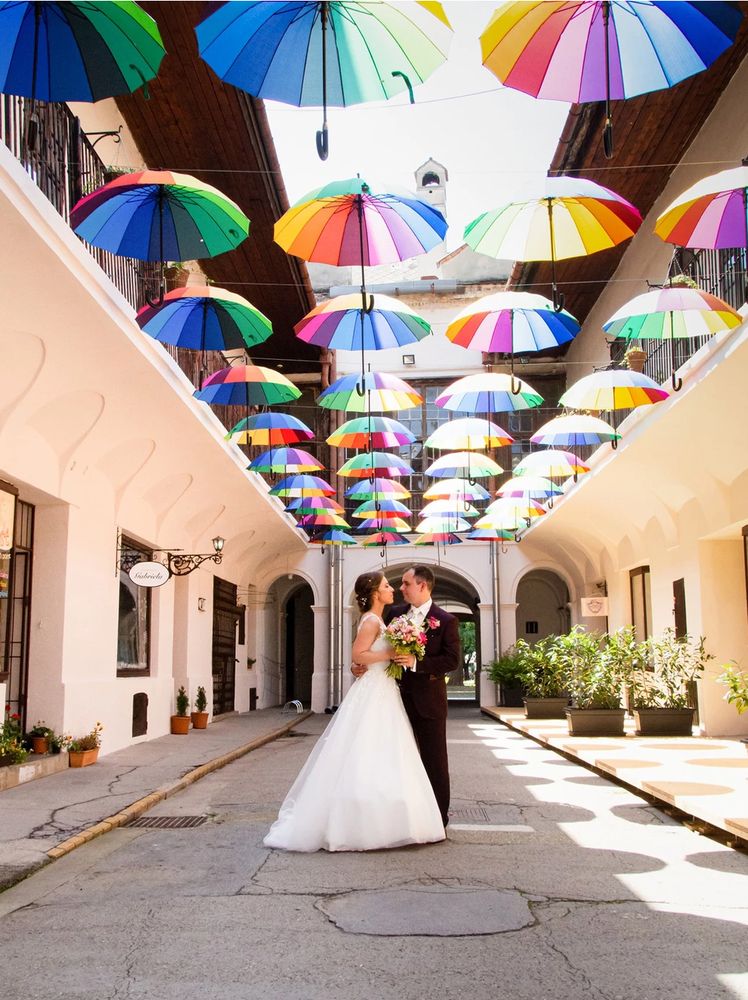 Фотография автора Alena Geršičová