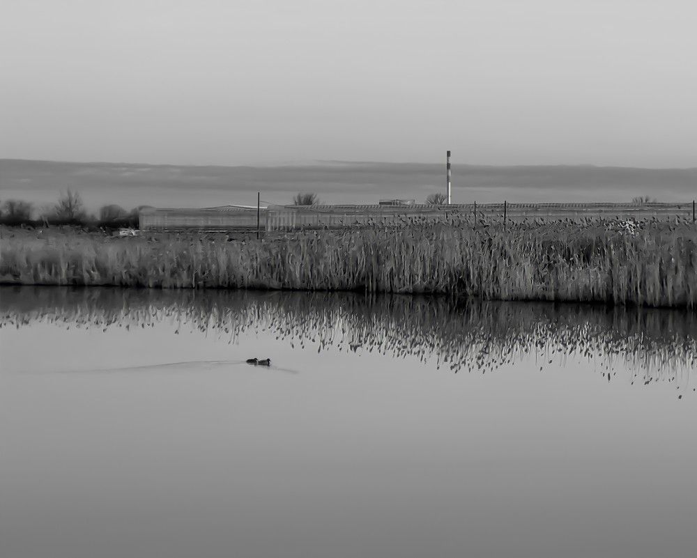 Photograph by Гельфман Галина