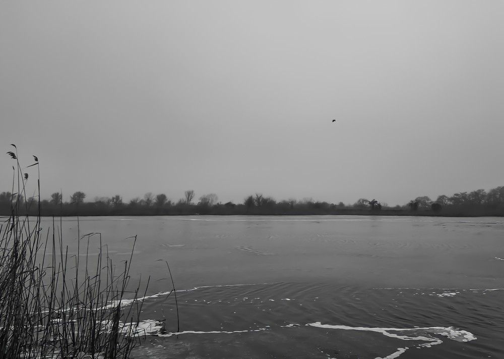 Photograph by Гельфман Галина