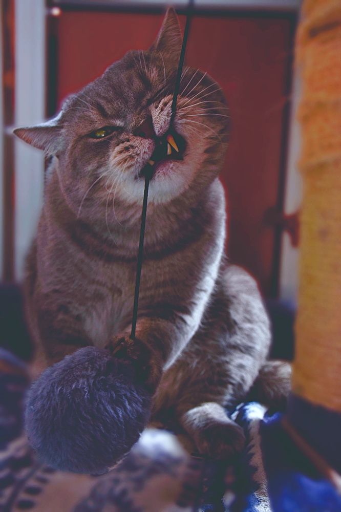 Photograph by Людмила Леонтьева