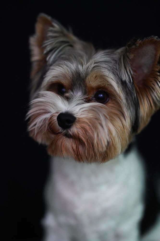 Photograph by Ольга Беспалько