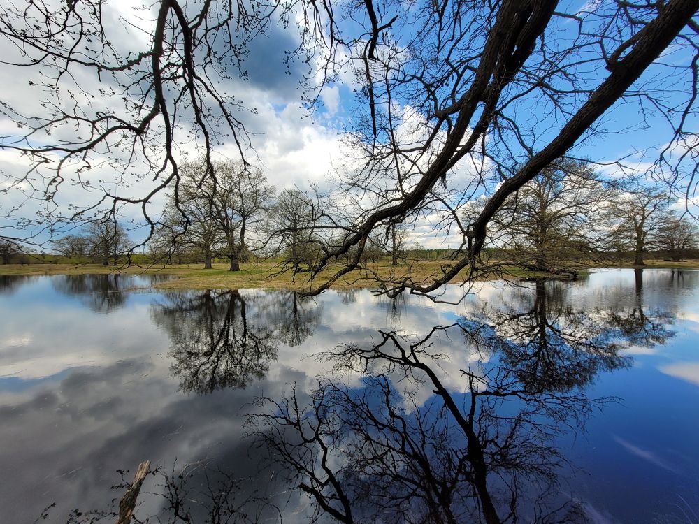 Photograph by Сергей Шляга