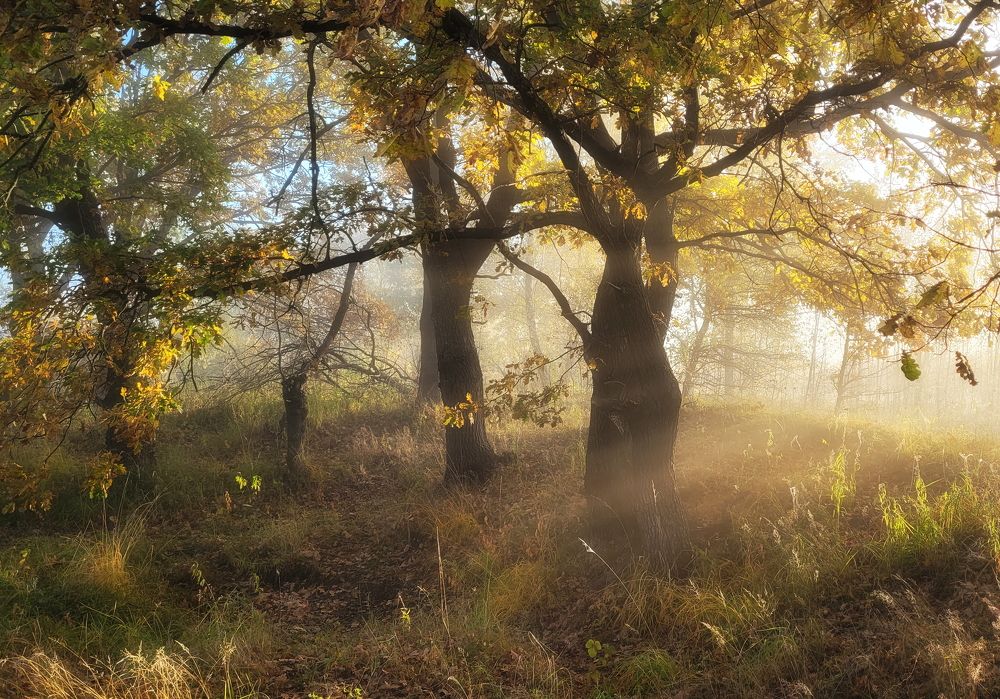 Photograph by Сергей Шляга