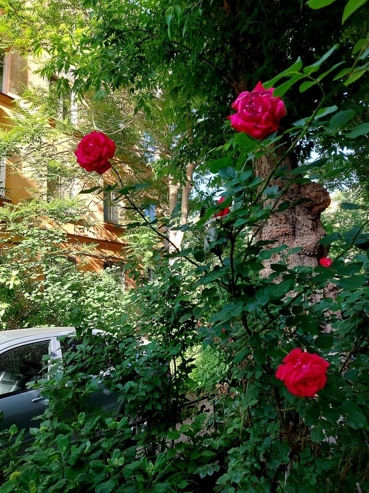 Photograph by Нина Паршина