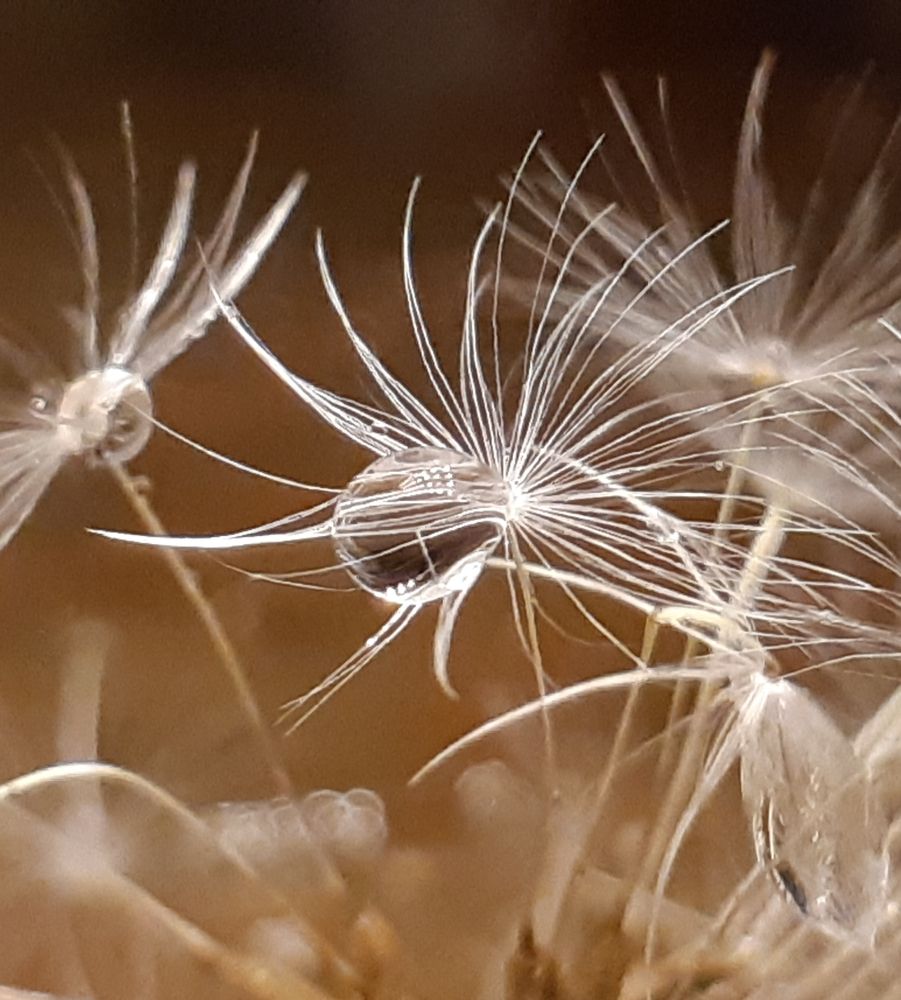 Photograph by Ольга Хромова