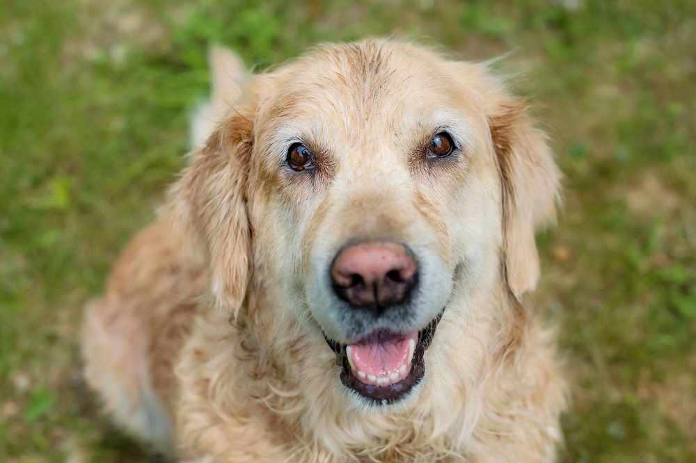 Photograph by Юлия Трап