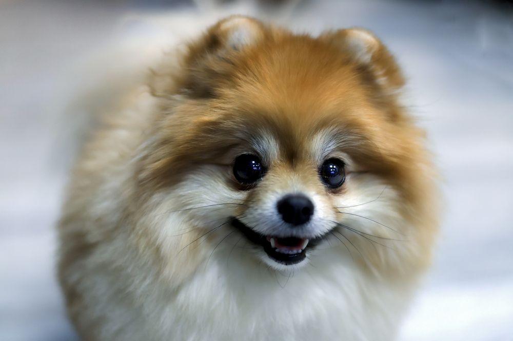 Photograph by Юлия Трап