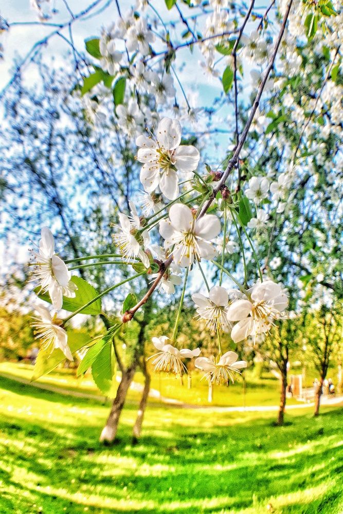 Photograph by Ольга Хромова