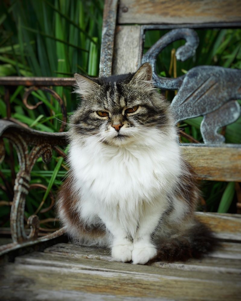 Photograph by Василий Селиванов