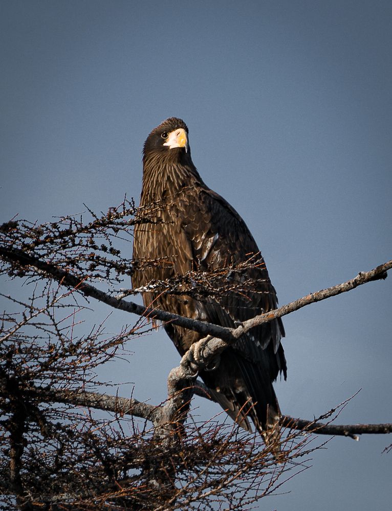 Photograph by Игорь Дудковский