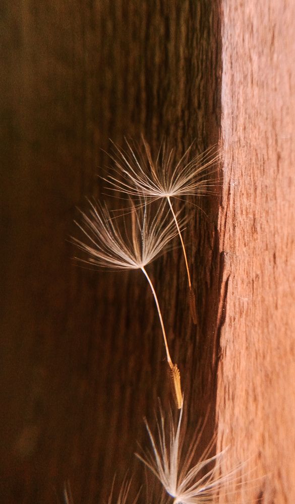 Photograph by Anna Solomina