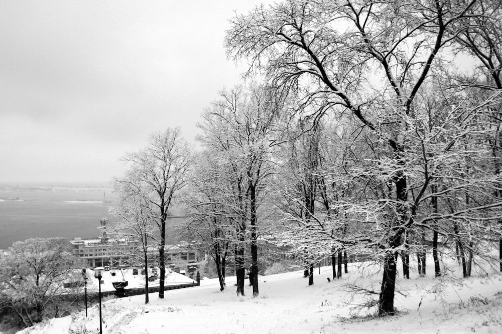 Photograph by Юлия Трап