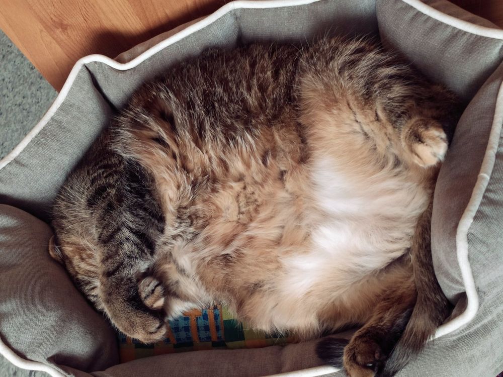 Photograph by Татьяна Клемба