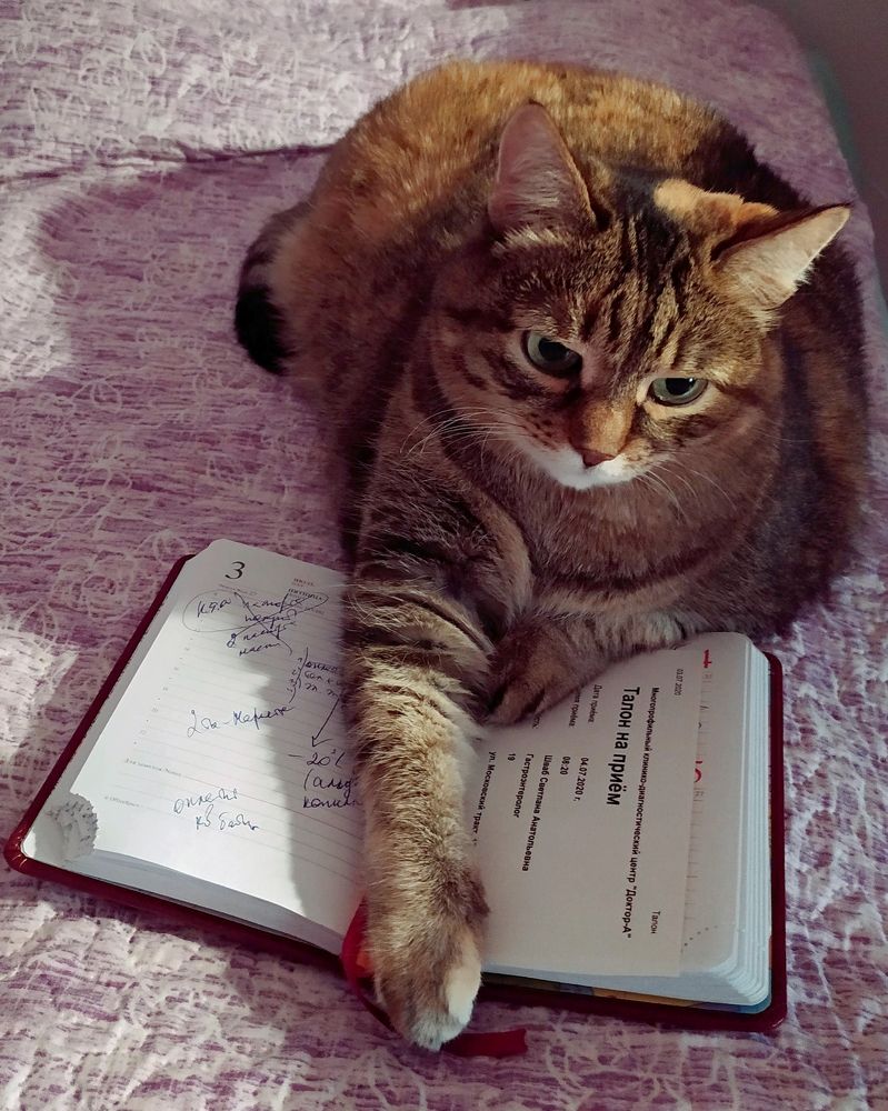 Photograph by Татьяна Клемба