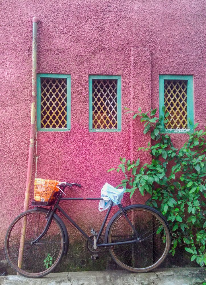 Фотография автора Laddu Sasindu Pramuditha De Silva