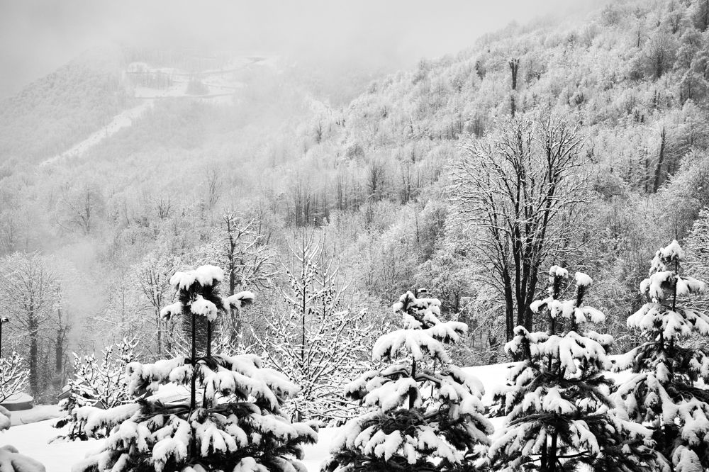 Photograph by Сергей Стукен