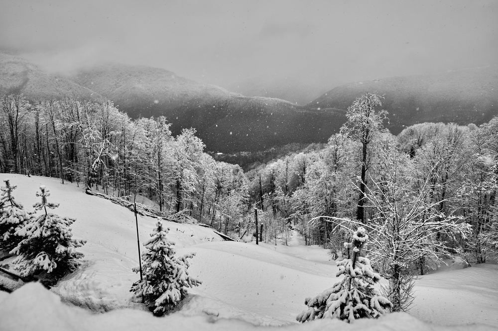 Photograph by Сергей Стукен