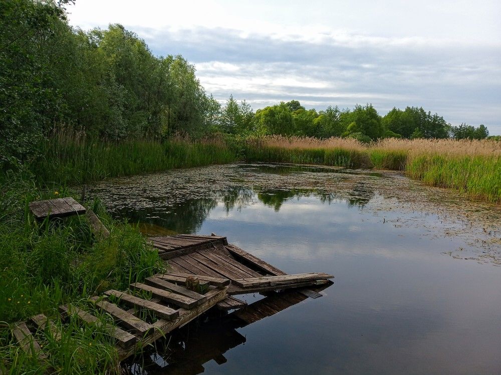 Воспоминания из детства