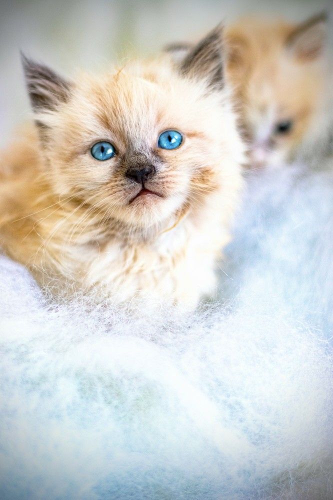 Photograph by Дарья Калугина