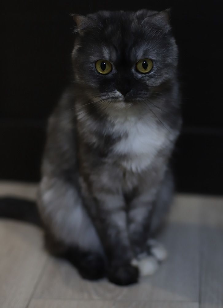 Photograph by Анна Новикова