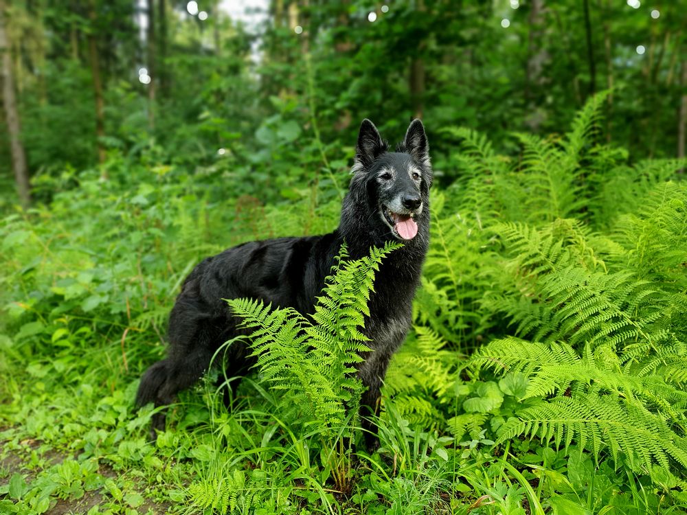 Фотография автора Надежда Лисицына
