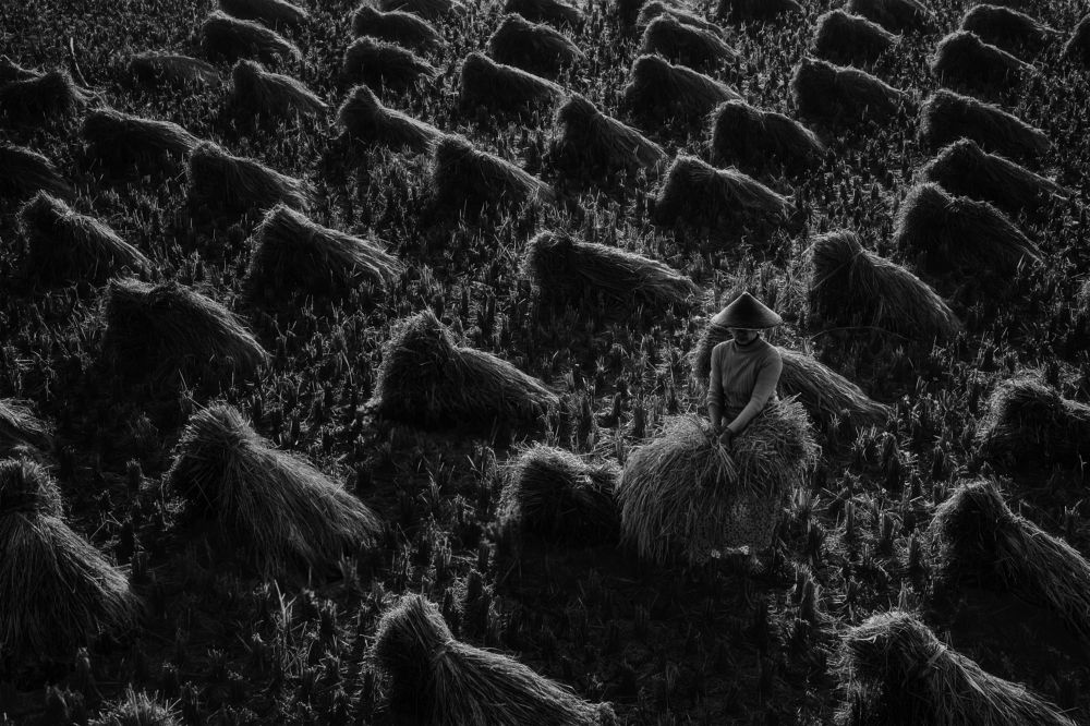 Photograph by Min Min Soe