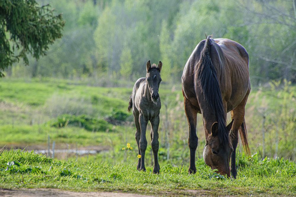 Photograph by Сергей Торхов