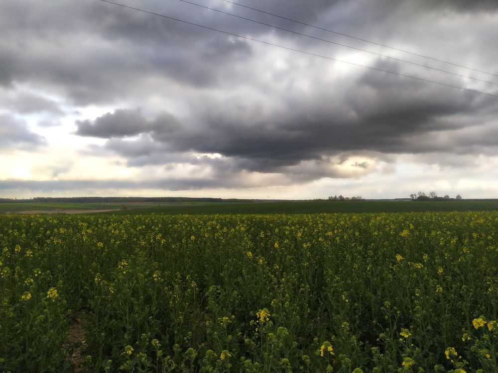 Photograph by Андрей Микулич