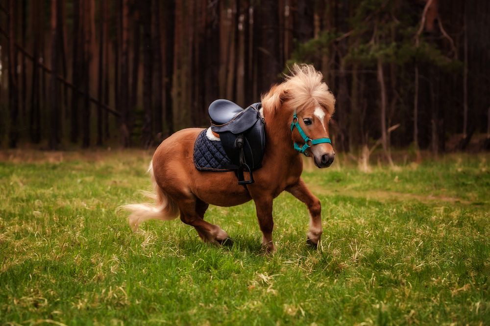 Photograph by Ирина Юрлова