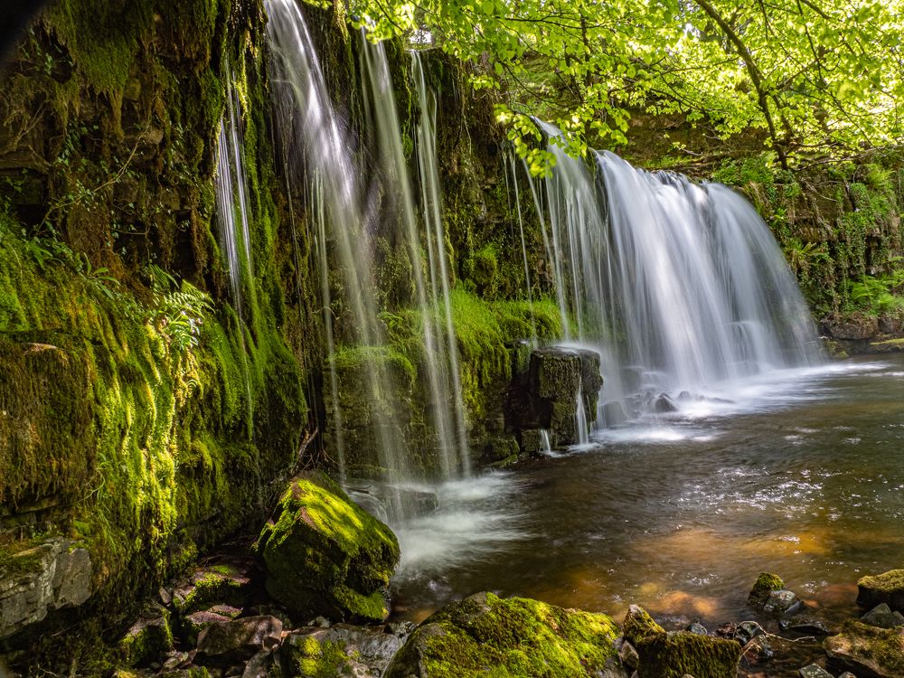 Photograph by Jesse René Cason