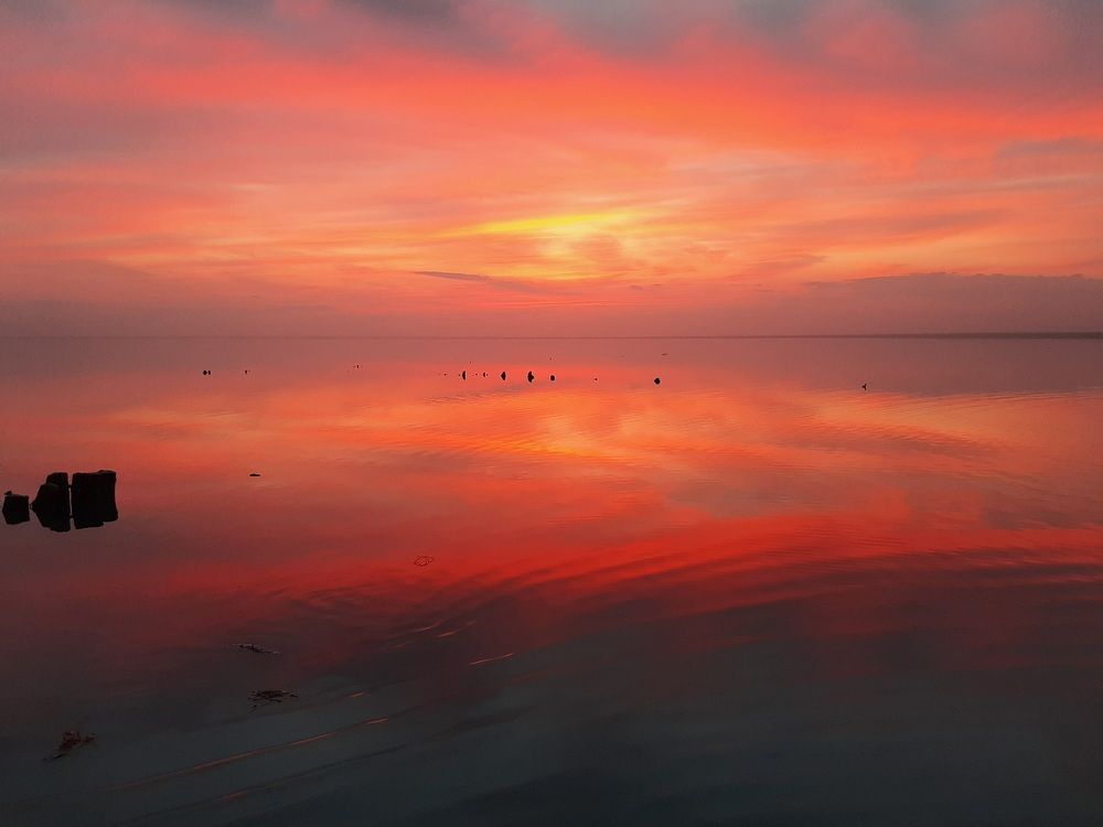 Фотография автора Елена Колосова