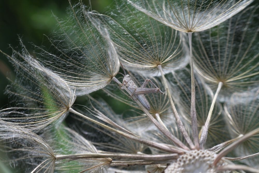 Photograph by Марина Савченко