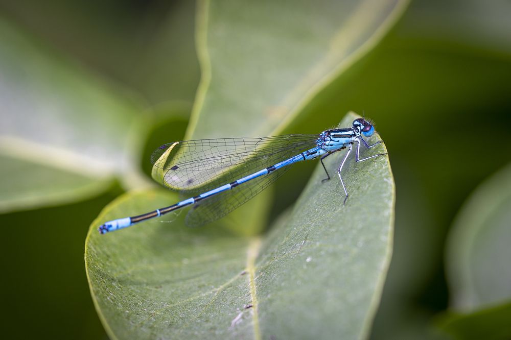 Photograph by Сергей Сягайло