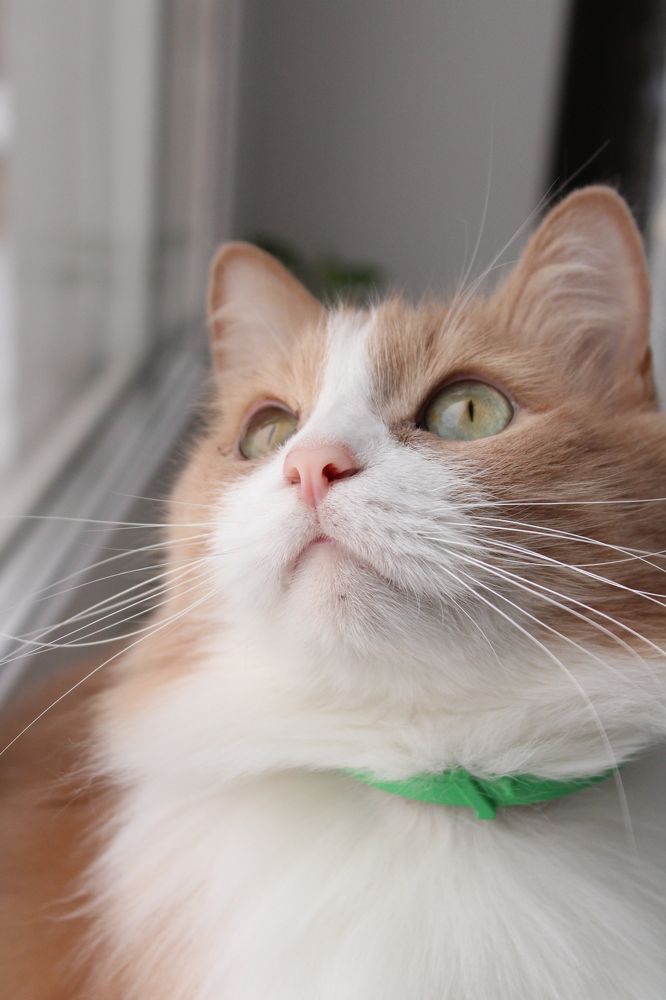 Photograph by Анастасия Липаткина