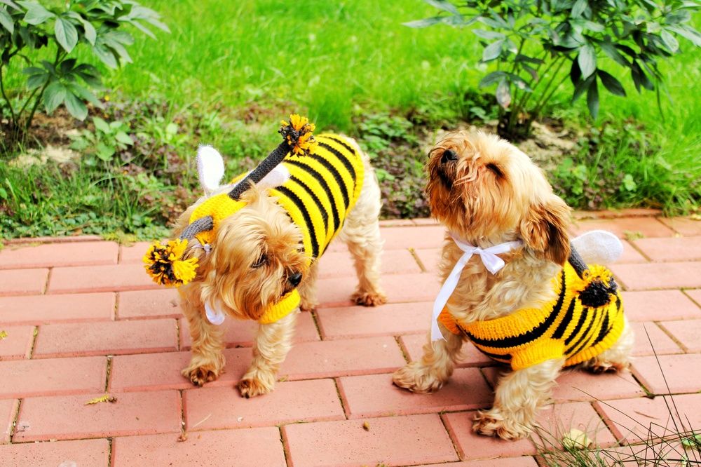 Photograph by Анастасия Липаткина