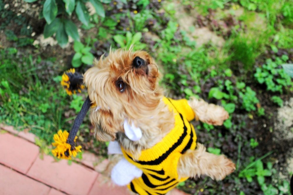 Photograph by Анастасия Липаткина