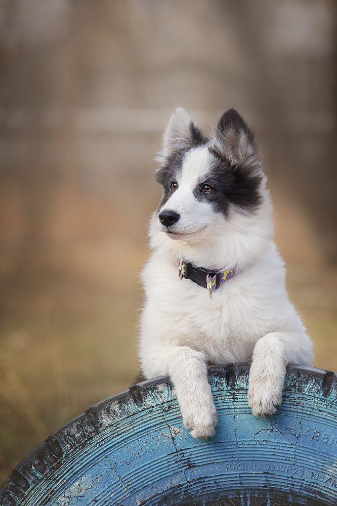 Photograph by Людмила Солдатченкова
