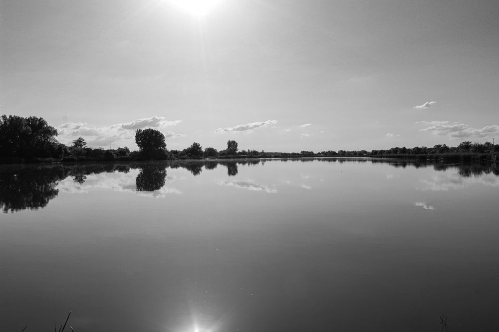 Photograph by Ирина Дмитриенко