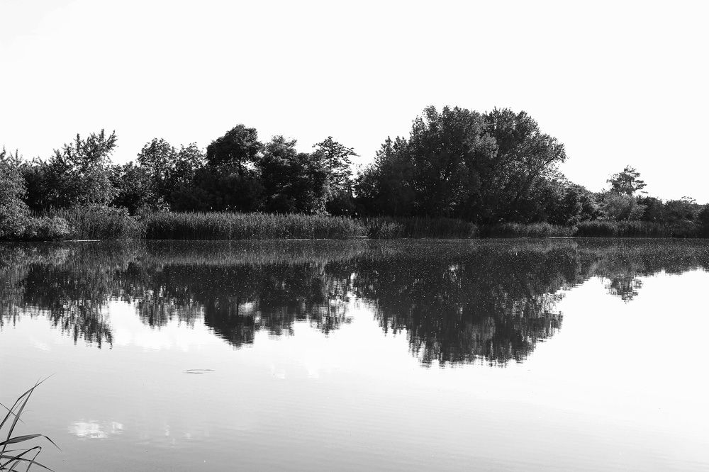 Photograph by Ирина Дмитриенко