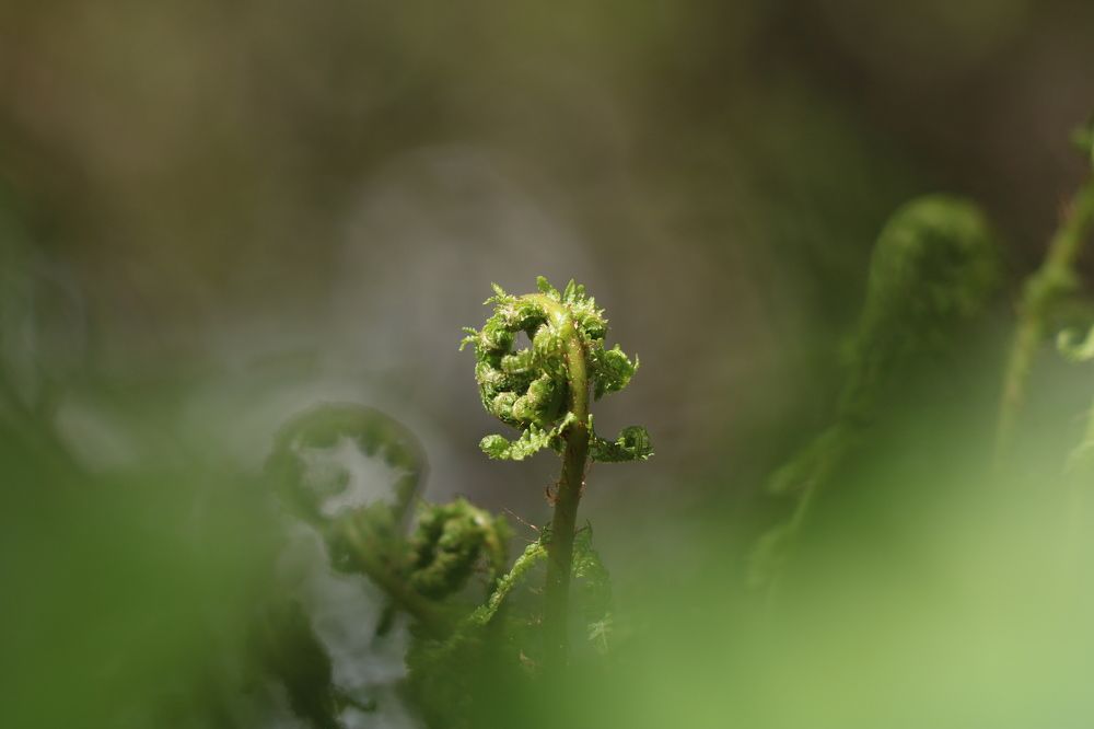 Photograph by Евгений Пакулов