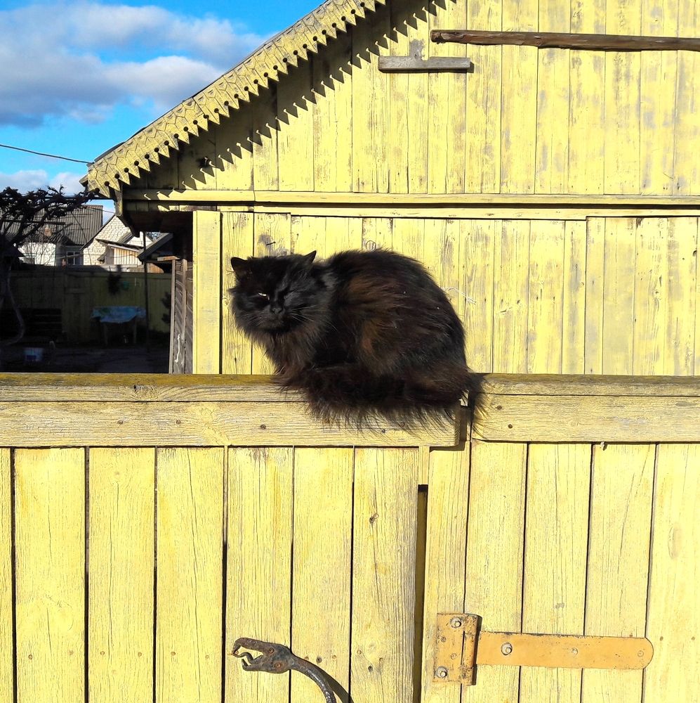 Photograph by Алексейчик Дмитрий