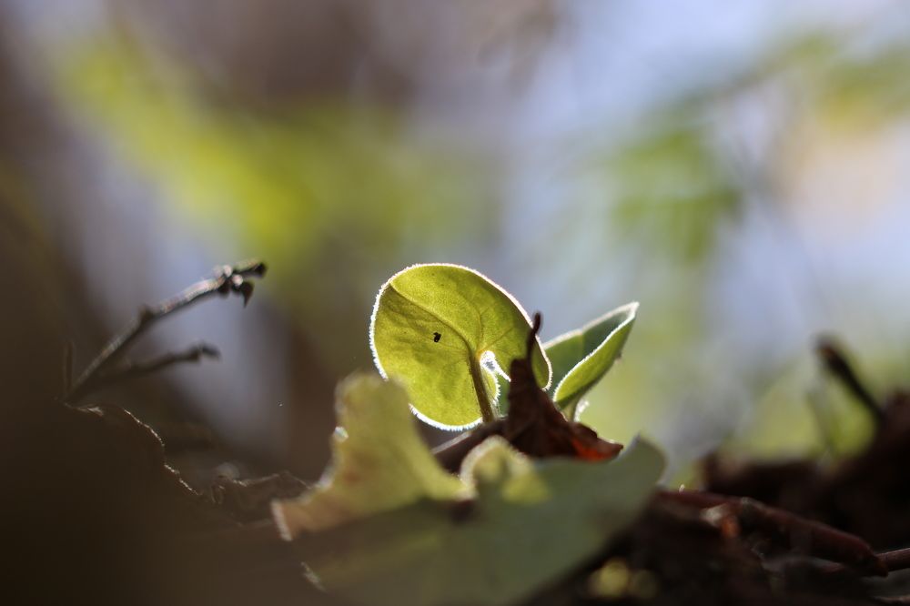 Photograph by Евгений Пакулов