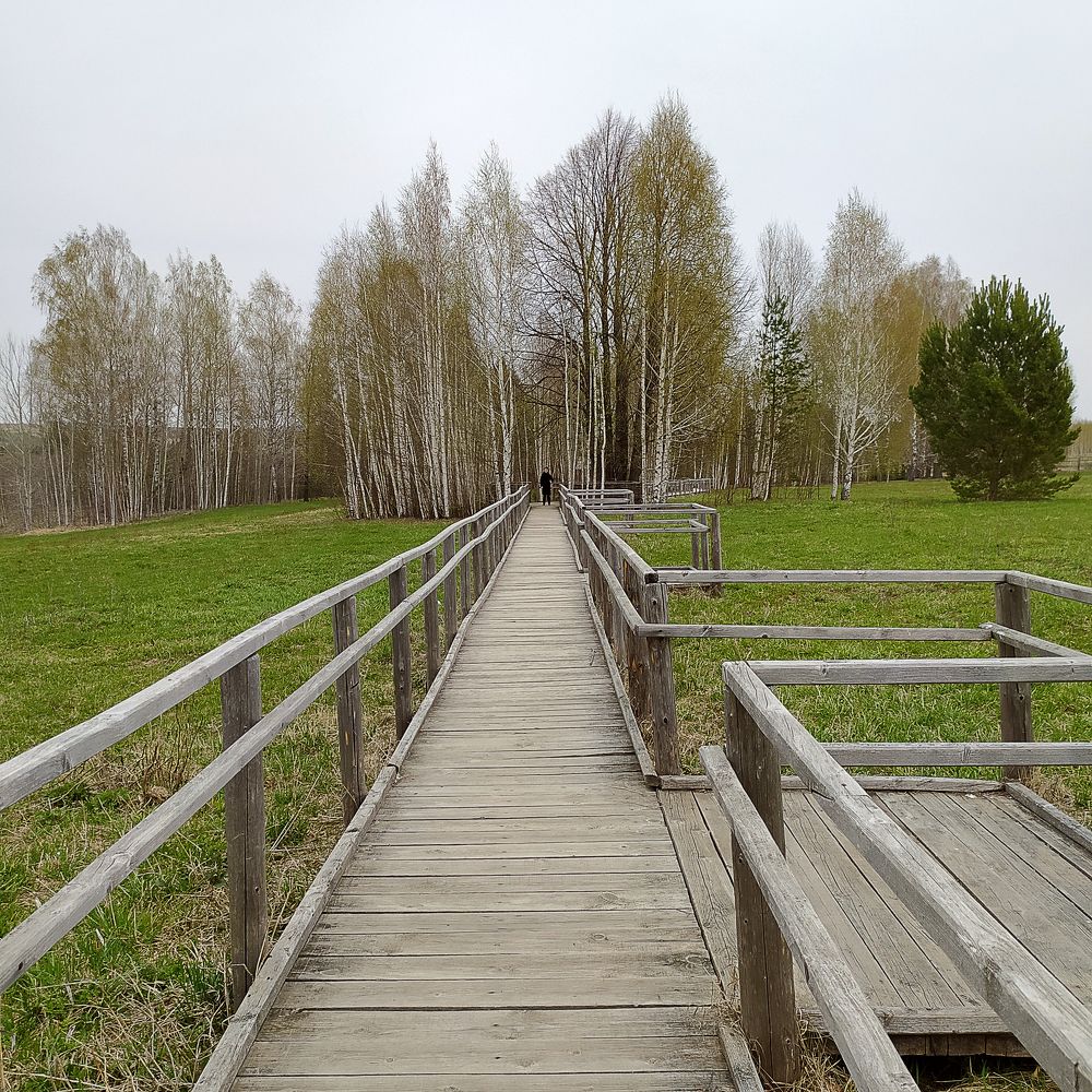 Photograph by Светлана Семенова