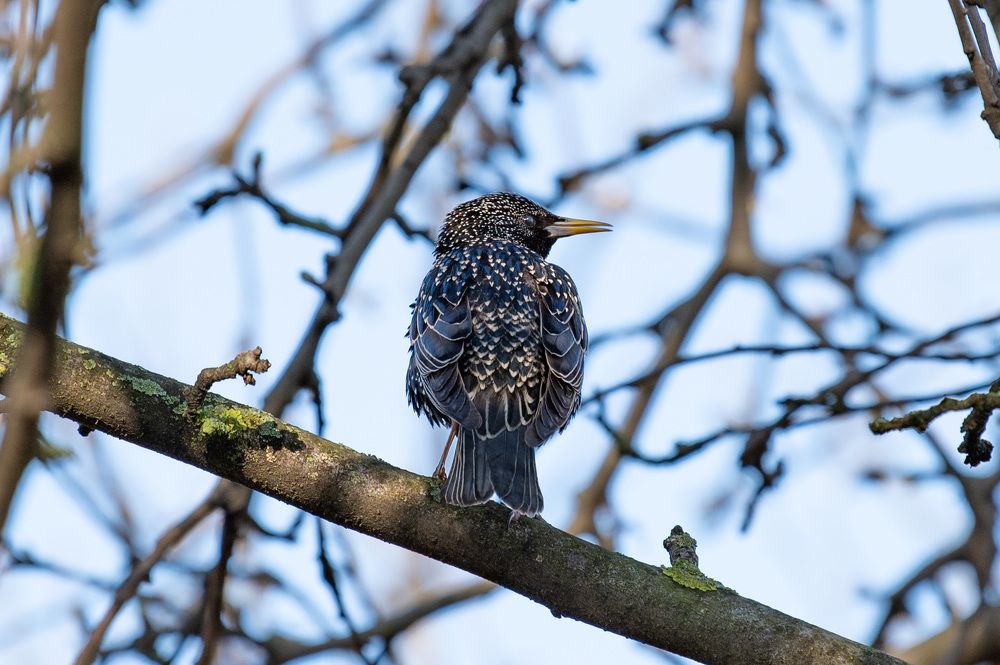 Photograph by Евгений