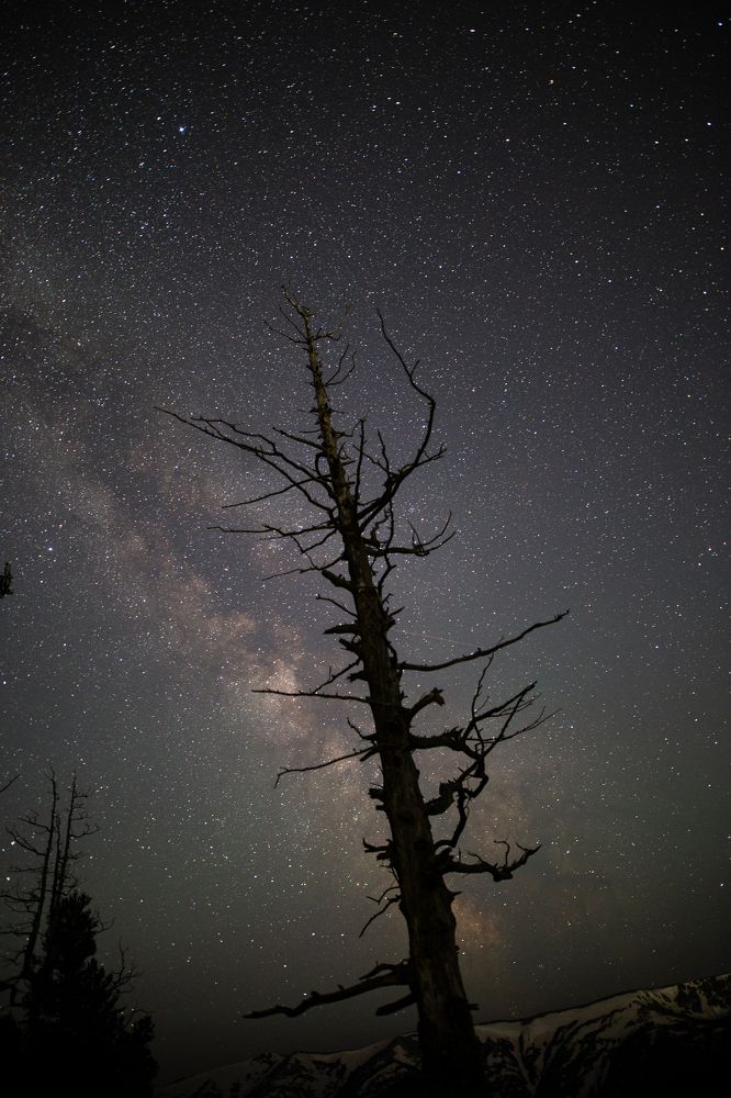 Photograph by Анна Дубровская