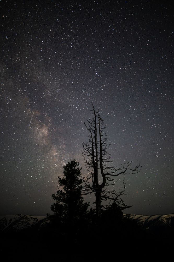 Photograph by Анна Дубровская