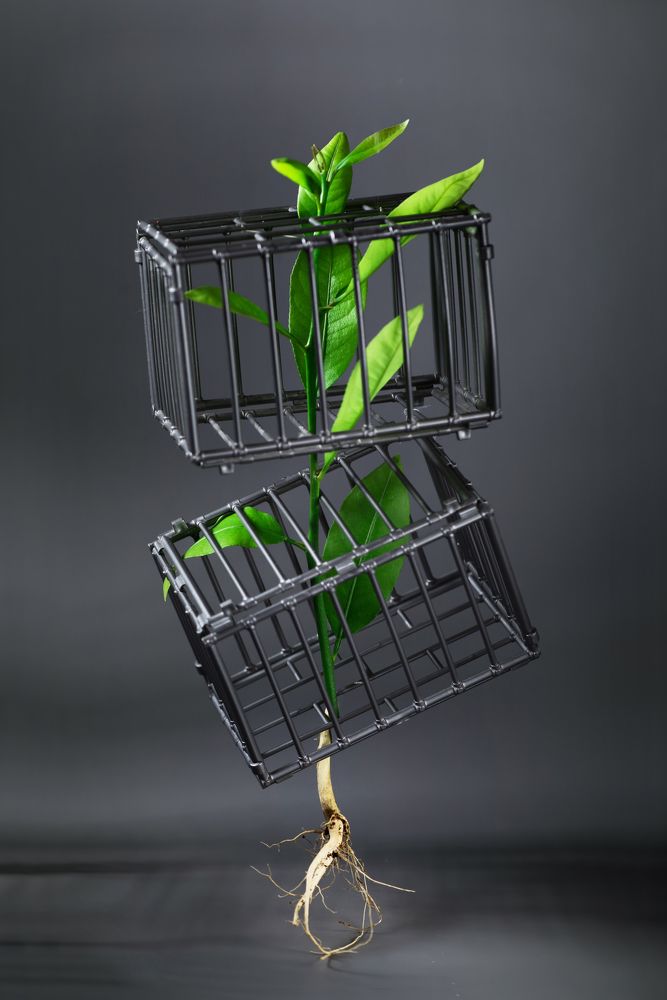 Photograph by Ангела Честнова