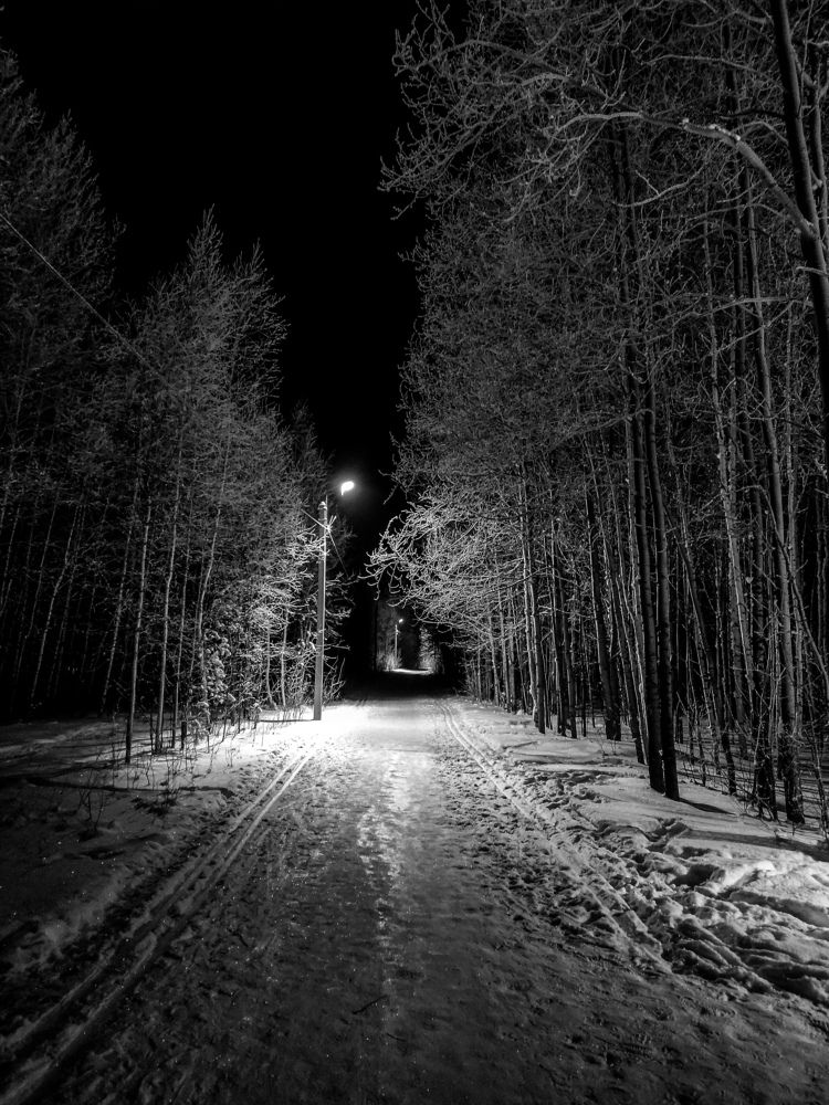 Photograph by Sergey Kashnikov